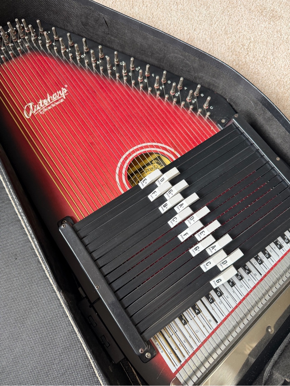 Autoharp Oscar Schmidt AP482 Built-In Pickup Tone with Hard Case